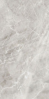керамическая плитка универсальная AXIMA delhi серый рет 60x120