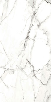 керамическая плитка универсальная AXIMA florence серый рет 60x120