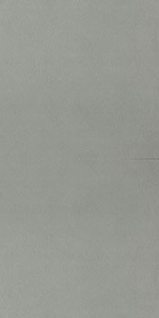 керамическая плитка универсальная ITALGRANITI nuances grigio 60x120