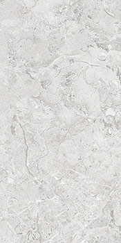 керамическая плитка универсальная INFINITY elegance grey glossy silver line 60x120